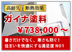 ガイナ塗料