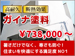 ガイナ塗料