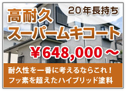 高耐久ムキ塗料