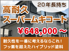 高耐久ムキ塗料